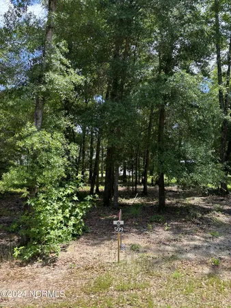 $250,000 | 3718 Barnesmore Drive, Castle Hayne, NC 28429