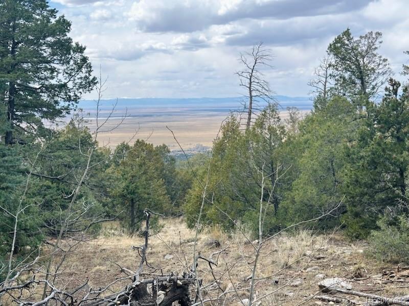 313 Arrastre Road Mosca, CO 81146 - Photo 16 of 18 a backyard of a house with lots of green space