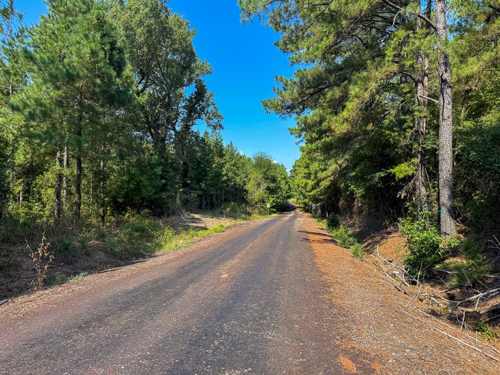 Tbd Sam Booker Road Mansfield, LA 71052 - Photo 13 of 14 View of asphalt road featuring a forest view
