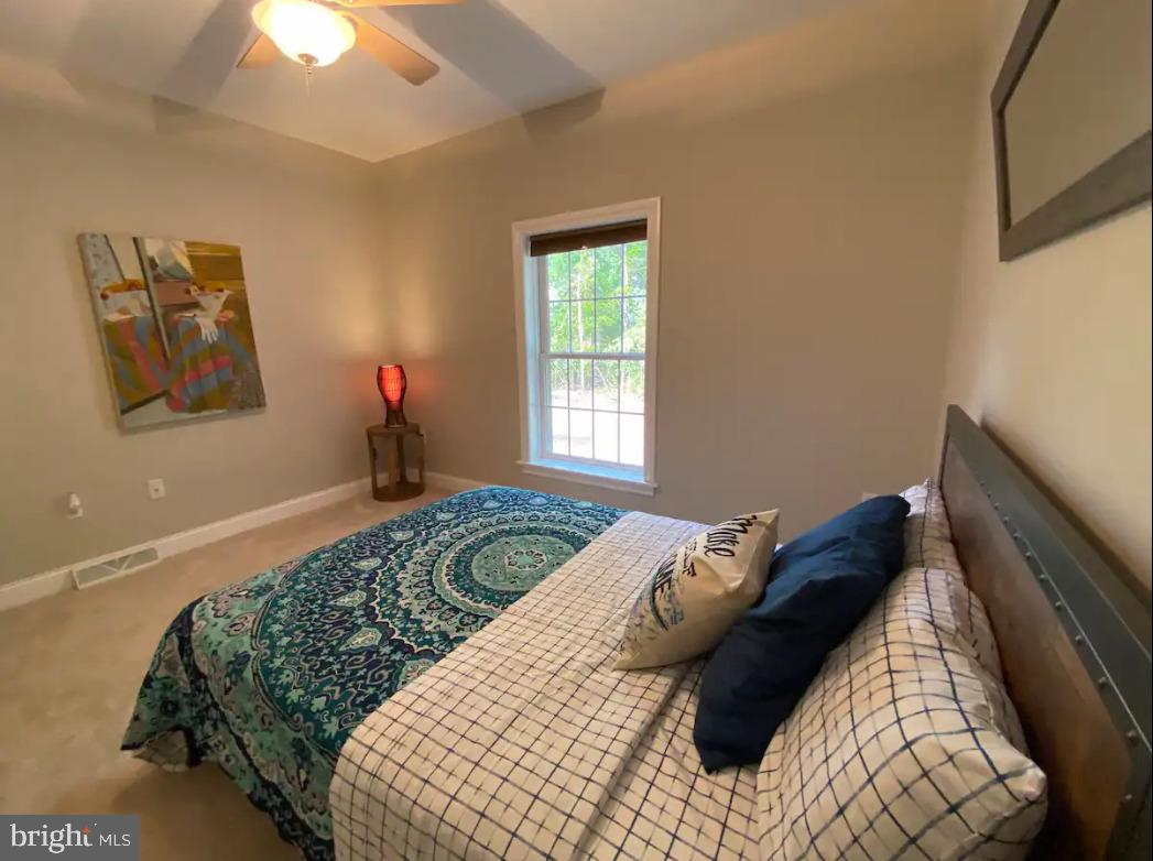 7207 Old Dickersons Road Orange, VA 22960 - Photo 44 of 57 Gallery Image 44