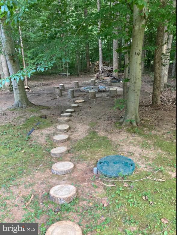 7207 Old Dickersons Road Orange, VA 22960 - Photo 51 of 57 Gallery Image 51