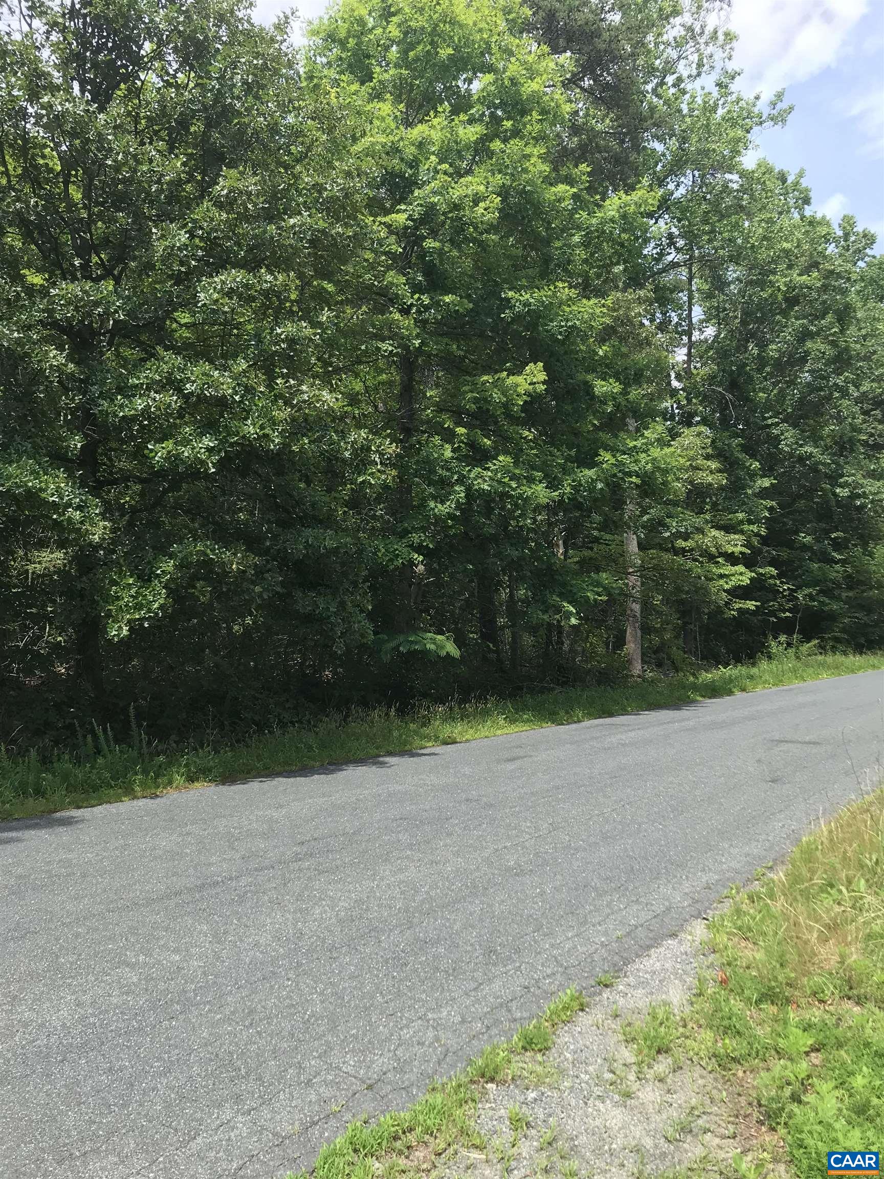 0 Secretarys Sand Road Esmont, VA 22937 - Photo 1 of 10 Gallery Image 1