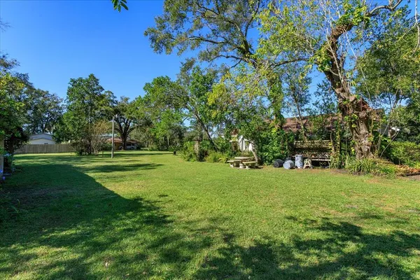 a view of a park with large trees