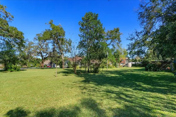 a view of a trees in a park