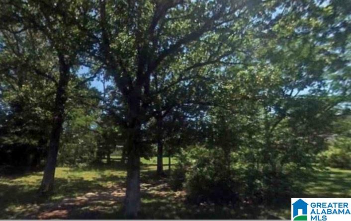 2446 Bone Dry Road Trafford, AL 35172 - Photo 3 of 8