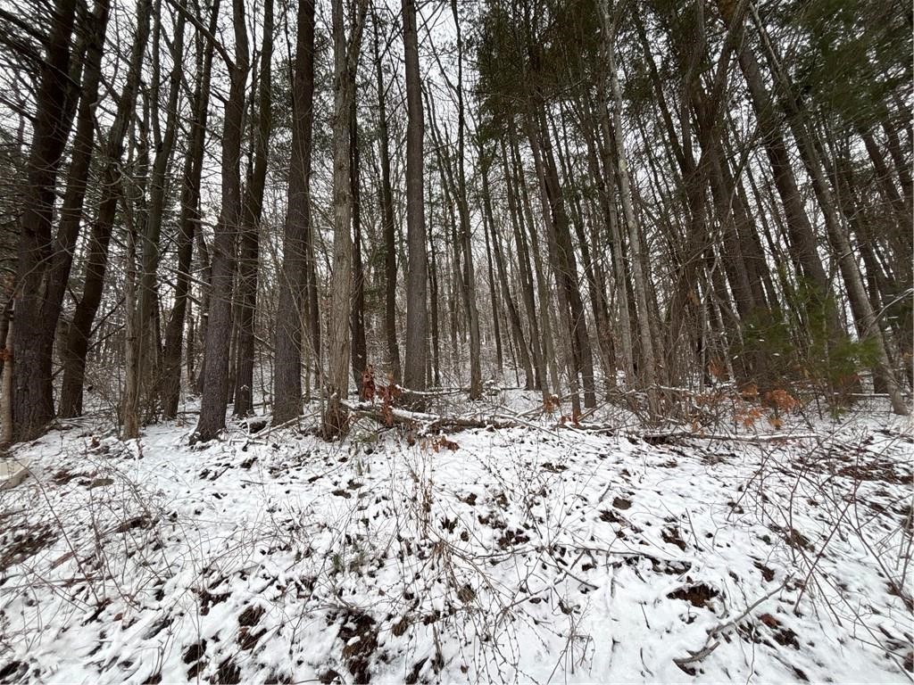 Obrien Road North Savona, NY 14879 - Photo 4 of 5