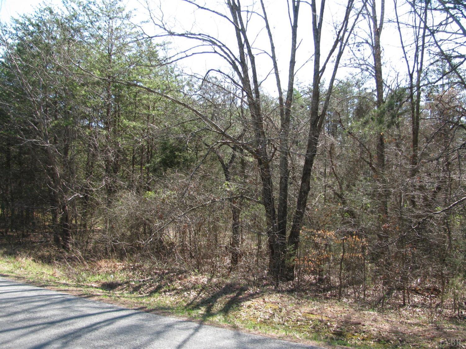 0 Telegraph Road Gretna, VA 24557 - Photo 2 of 5 a view of a yard