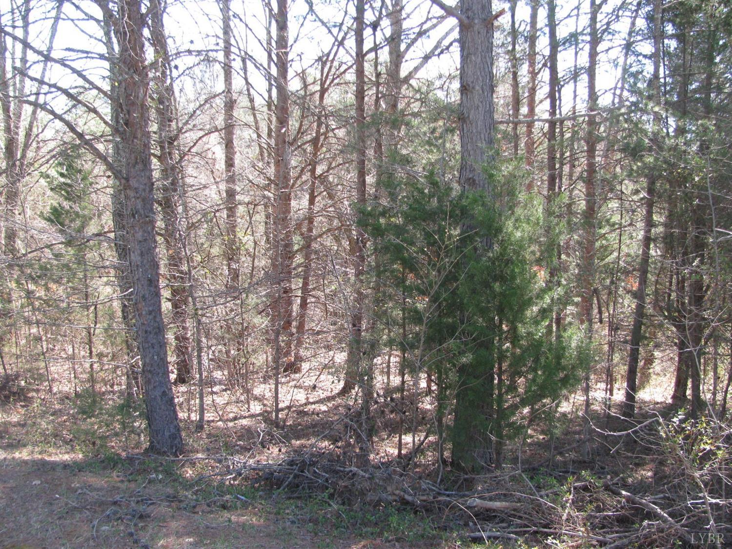 0 Telegraph Road Gretna, VA 24557 - Photo 3 of 5 a view of forest