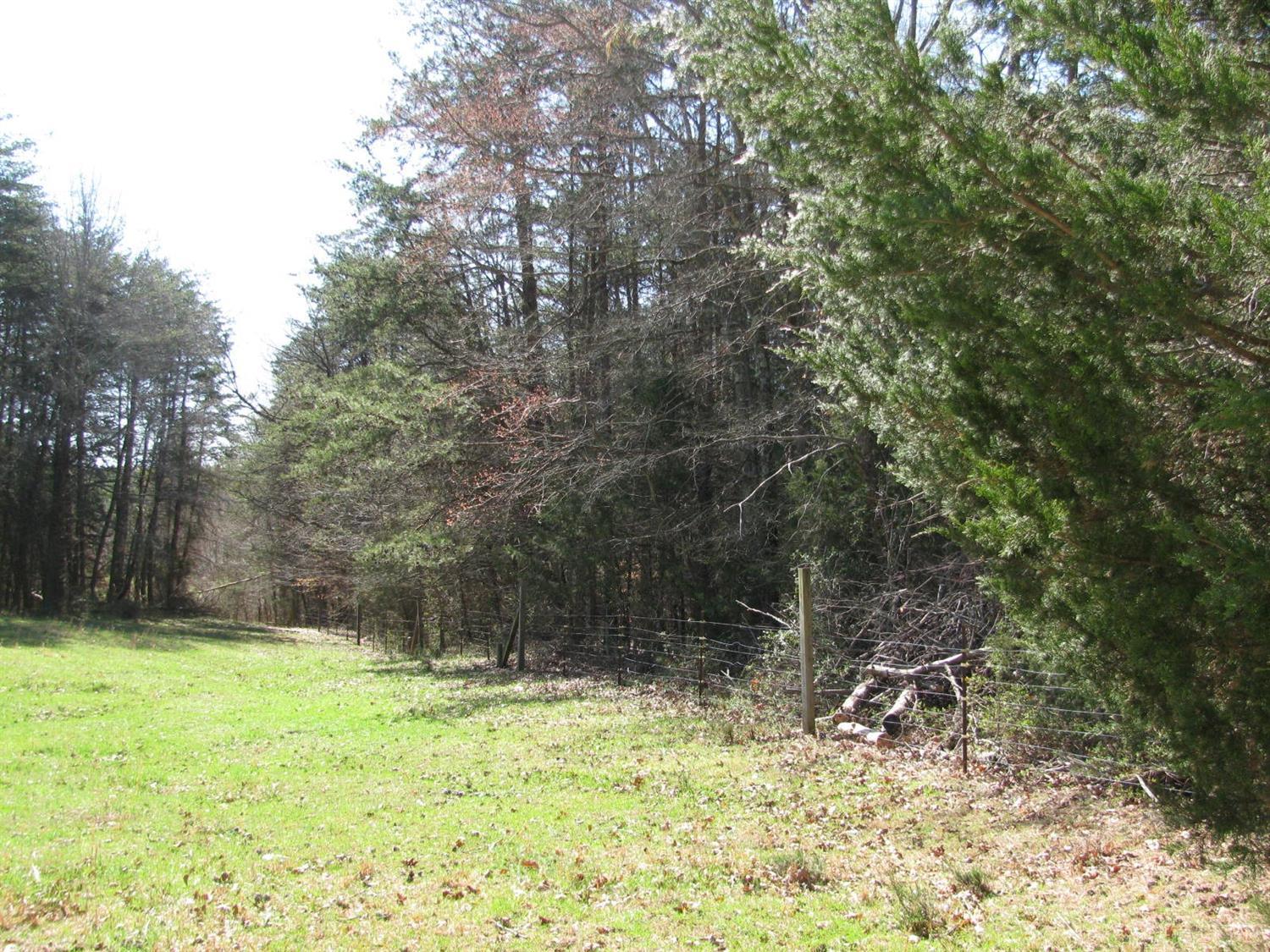 0 Telegraph Road Gretna, VA 24557 - Photo 4 of 5 a backyard of a house with lots of green space