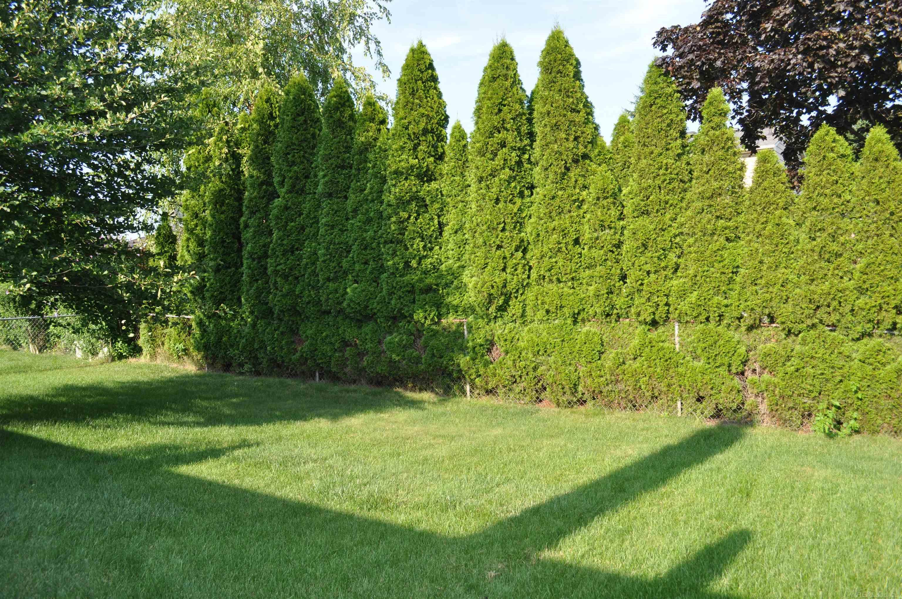 47476 Concord Road Macomb, MI 48044 - Photo 3 of 24 50150115-48f25b00-c18d-45ec-9b75-cae265e6530b.JPG