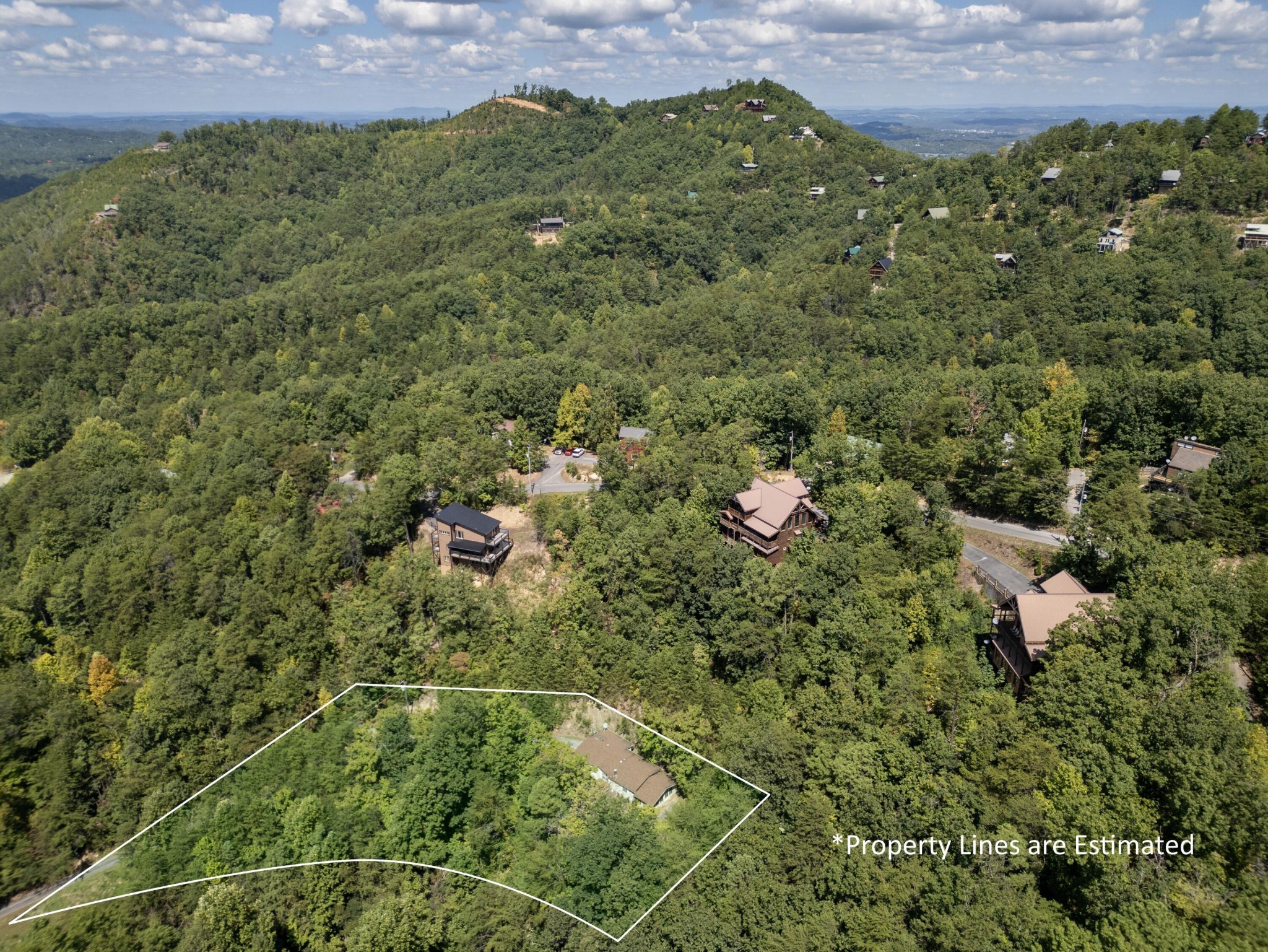 1046 Bryan View Road Sevierville, TN 37862 - Photo 3 of 42