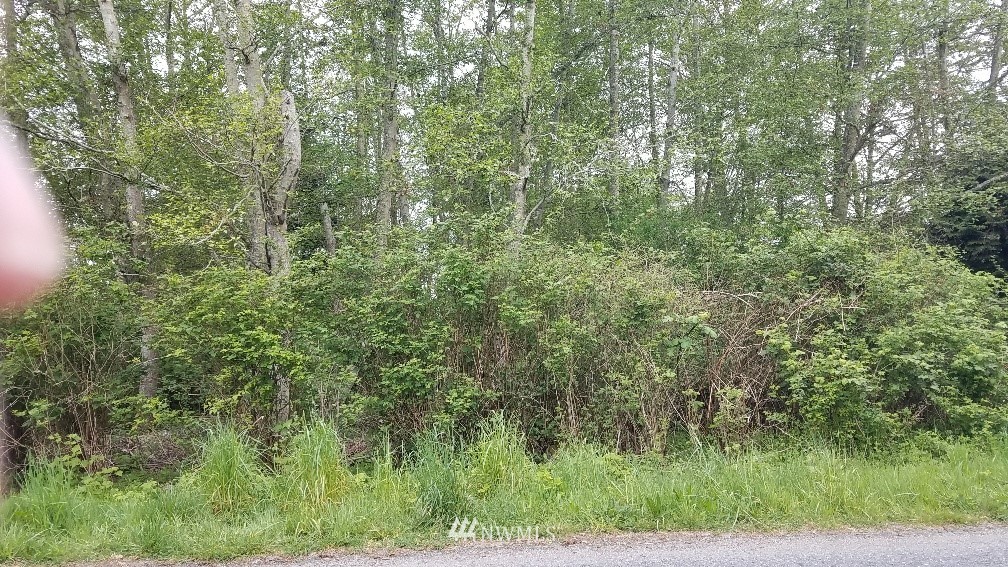 0 North View Road Oak Harbor, WA 98277 - Photo 1 of 1 Gallery Image 1