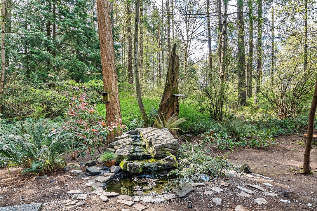15713 Southeast 148th Street Renton, WA 98059 - Photo 35 of 39 a view of forest
