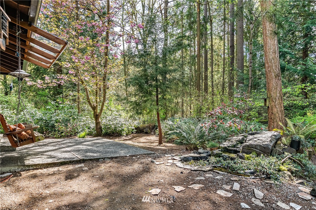 15713 Southeast 148th Street Renton, WA 98059 - Photo 36 of 39 a view of a forest filled with trees
