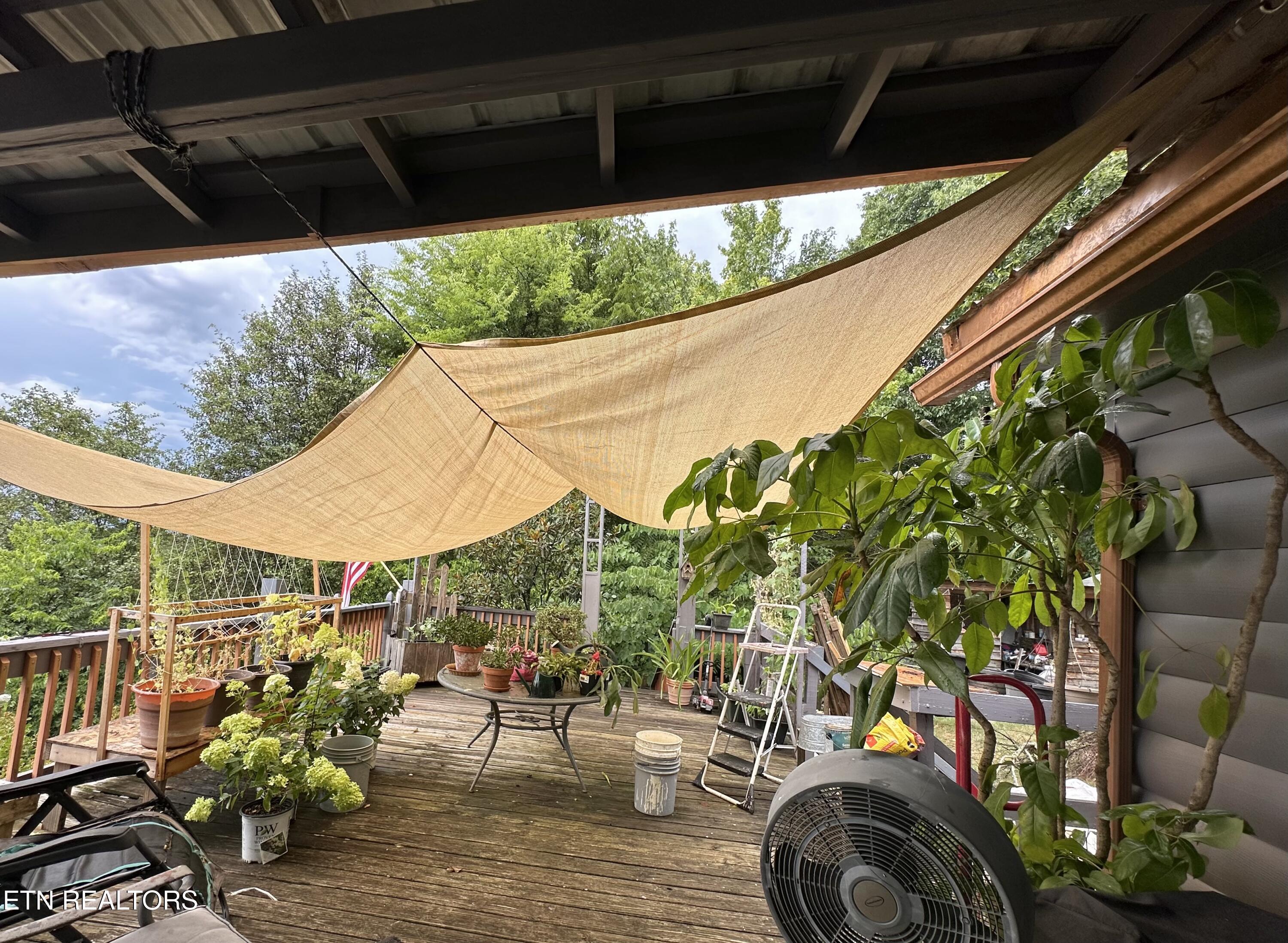 3855 Catewright Road Kodak, TN 37764 - Photo 24 of 40 IMG_4975