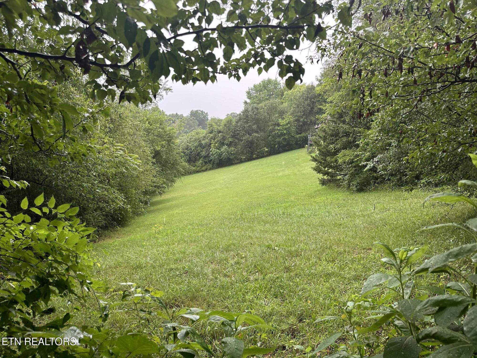 3855 Catewright Road Kodak, TN 37764 - Photo 28 of 40 IMG_5032