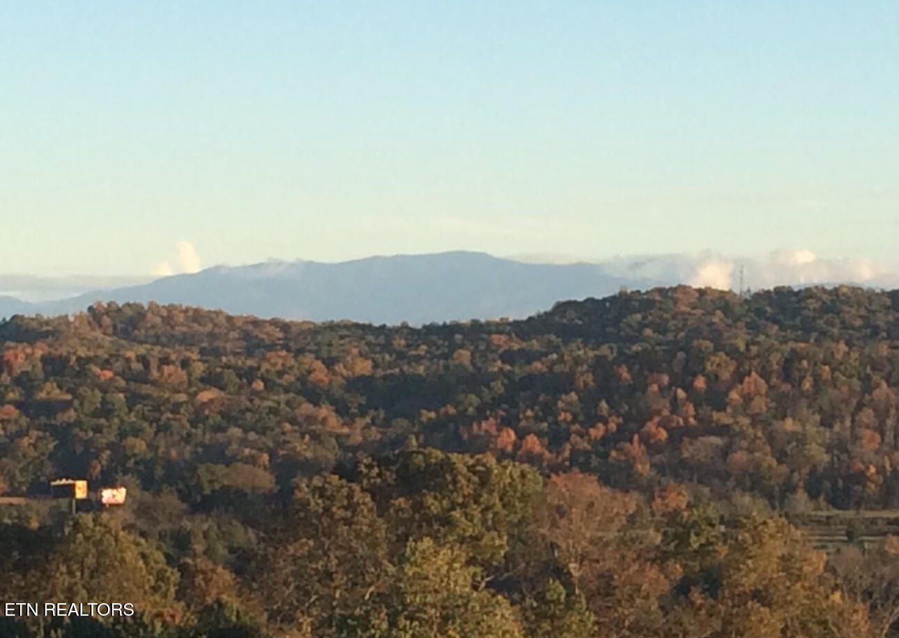 3855 Catewright Road Kodak, TN 37764 - Photo 38 of 40 IMG_5056