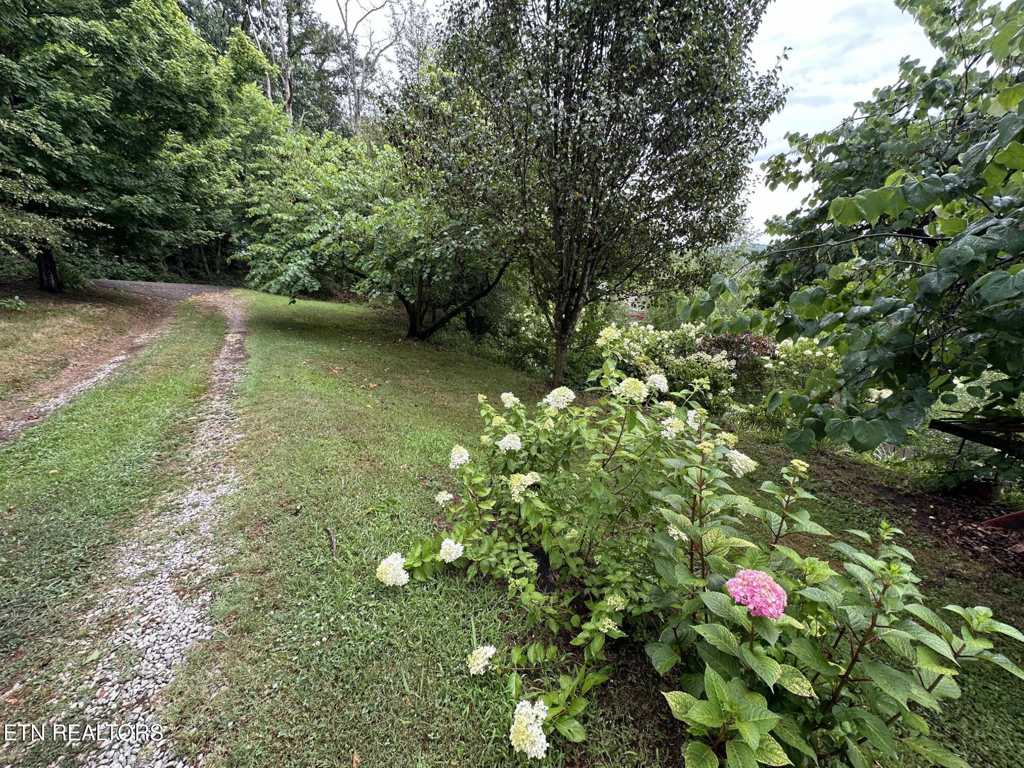 3855 Catewright Road Kodak, TN 37764 - Photo 5 of 40 IMG_4964