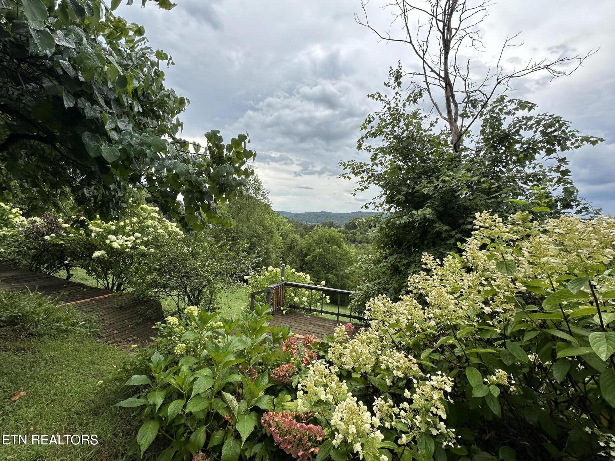 3855 Catewright Road Kodak, TN 37764 - Photo 6 of 40 IMG_4969