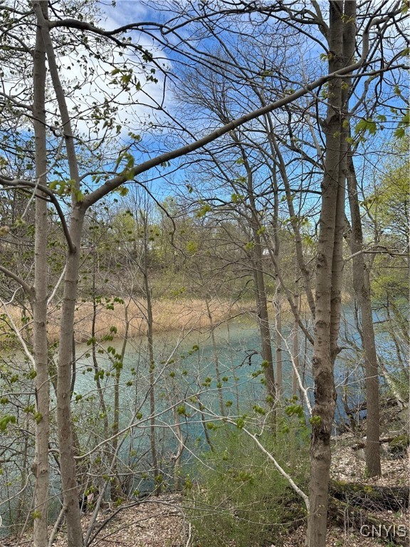 7381 Owasco Road Owasco, NY 13021 - Photo 5 of 15