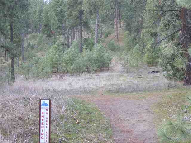 1005 West Westover Road Spokane, WA 99218 - Photo 9 of 9