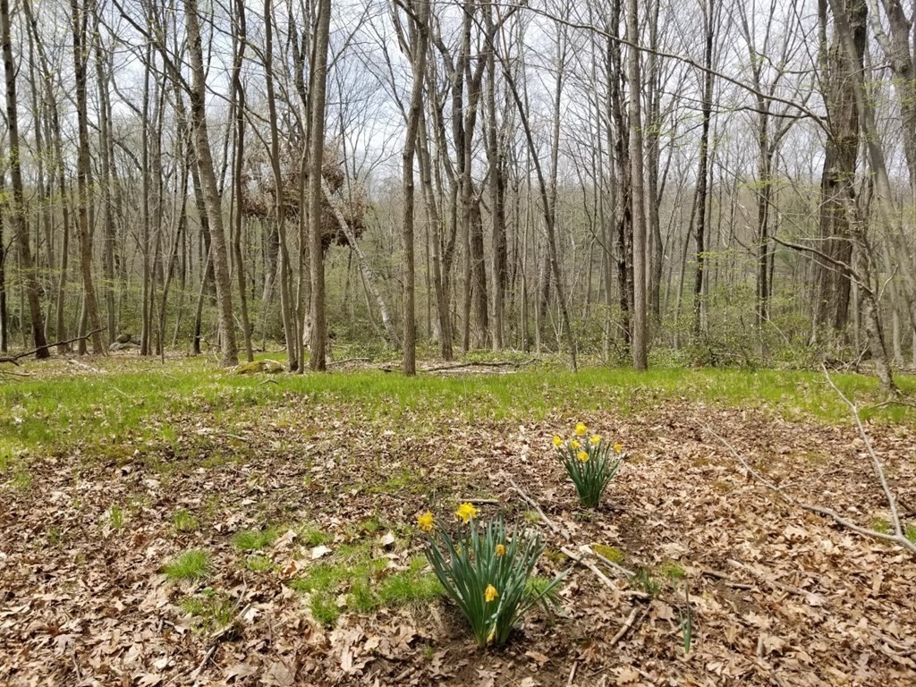 Xo Frontage Road Ashford, CT 06278 - Photo 1 of 19 Gallery Image 1