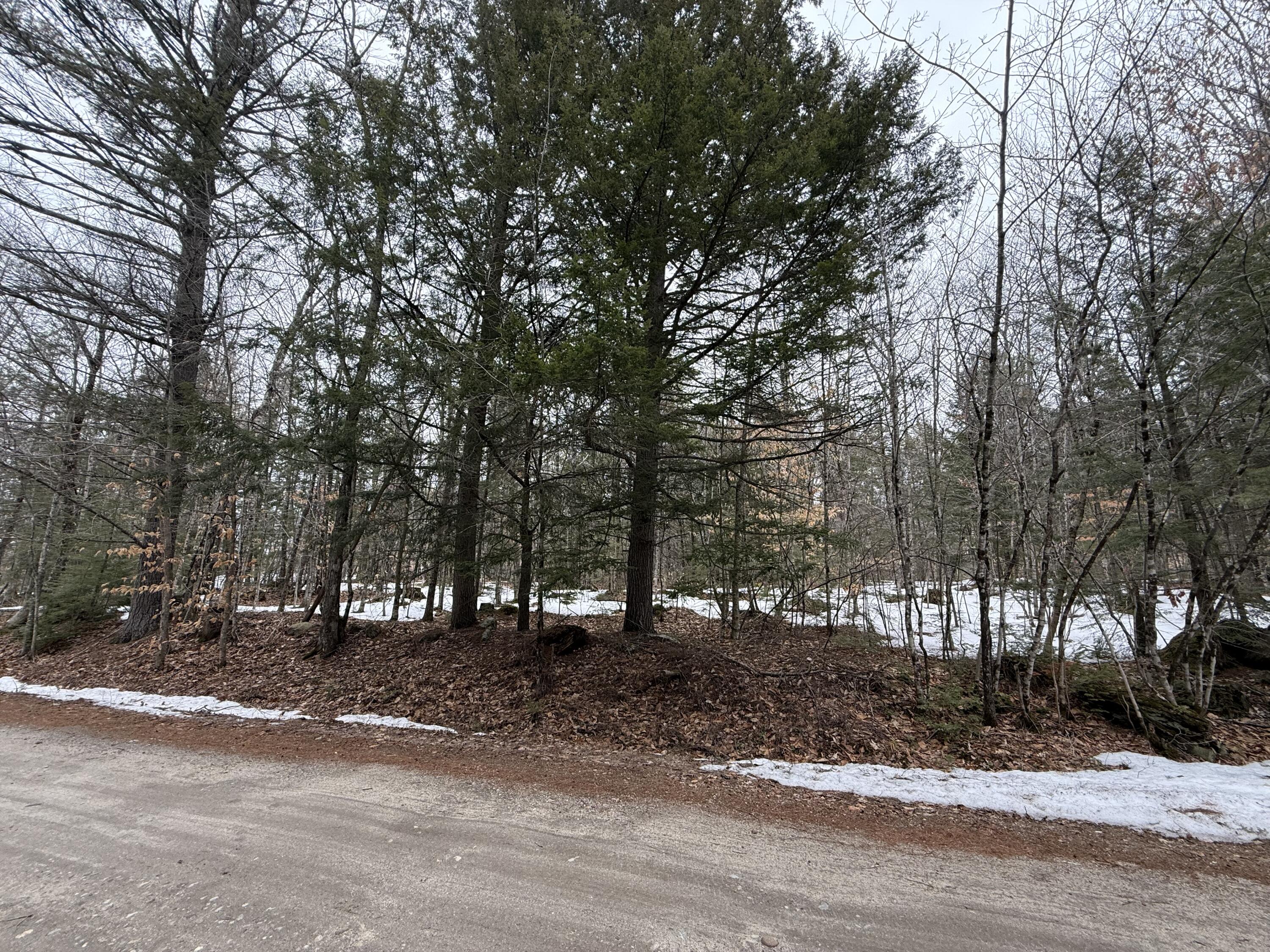 Tbd Kilby Edwards Road Otisfield, ME 04270 - Photo 3 of 4