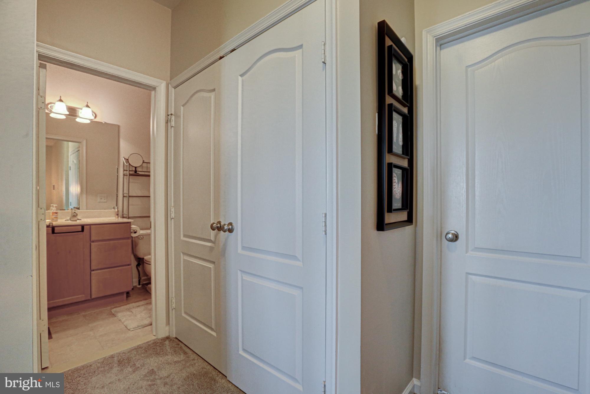 1805 North Pollock Way Middletown, DE 19709 - Photo 59 of 84 Inviting hallway with modern touches.