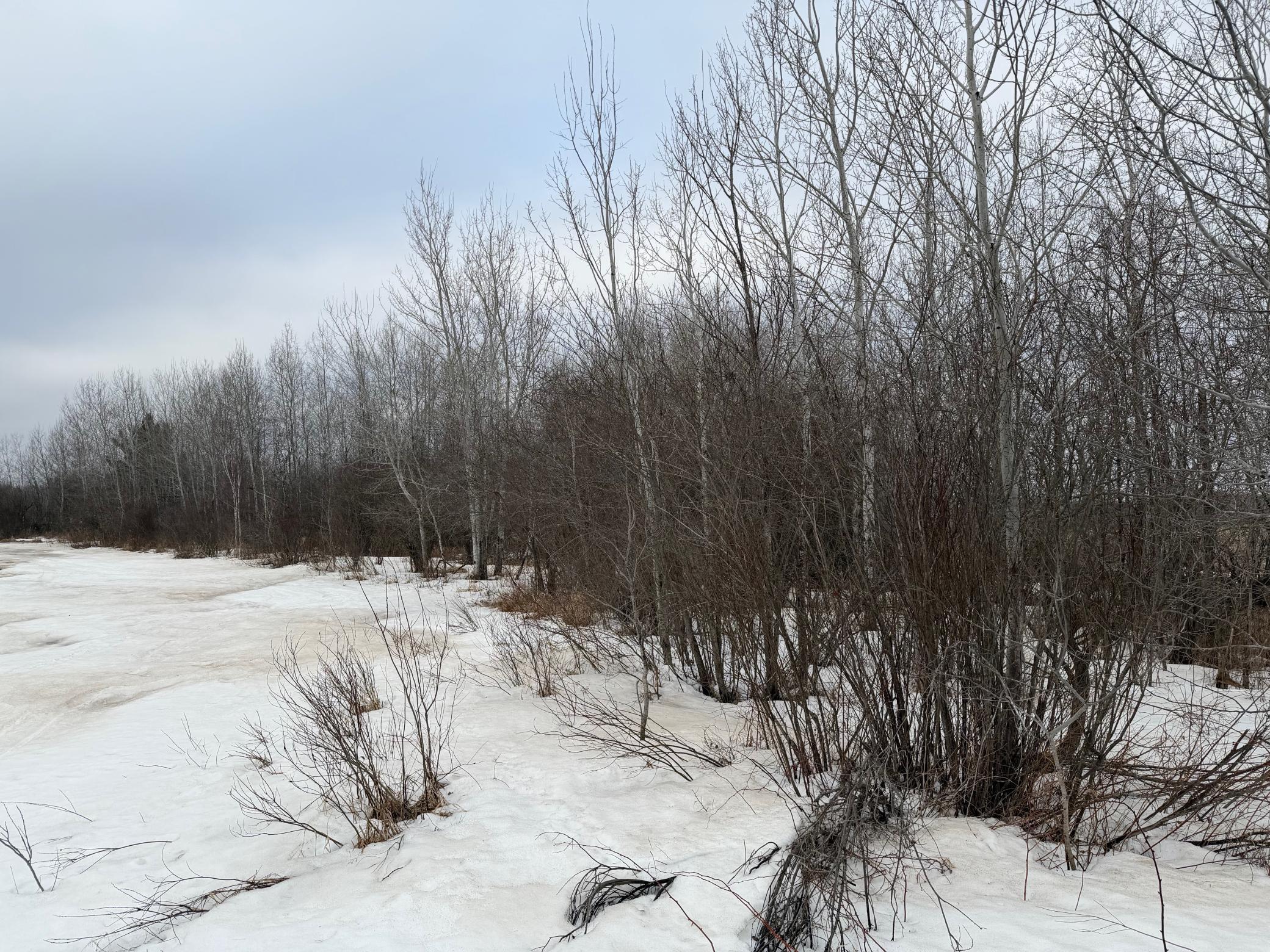 Tbd-b 180th Street Milaca, MN 56353 - Photo 65 of 80