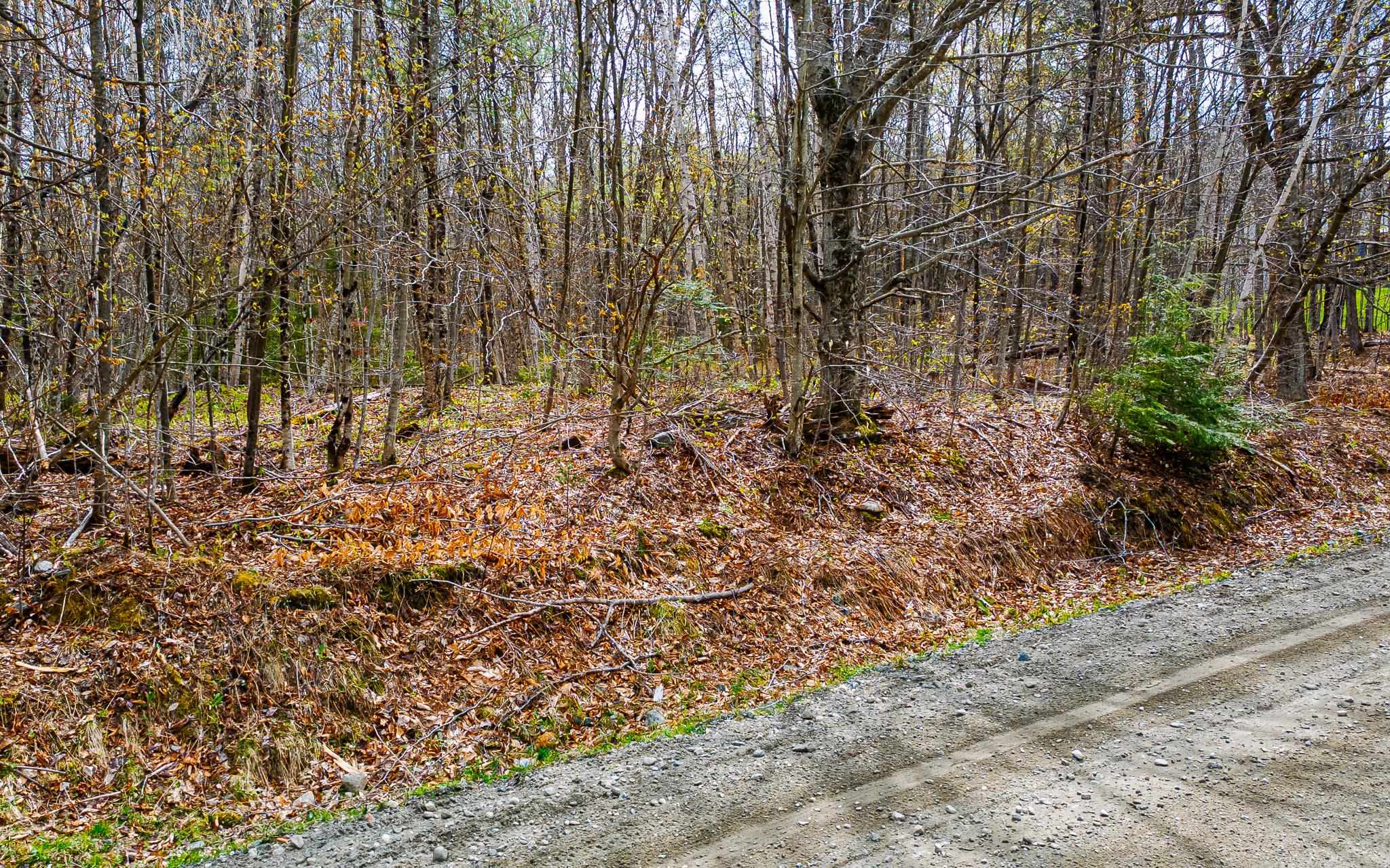 1053 Miller Pond Road Grantham, NH 03753 - Photo 10 of 11