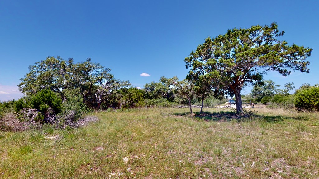 100 Joe W Road Fredericksburg, TX 78624 - Photo 11 of 25 Gallery Image 11