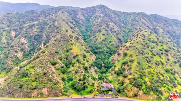 a view of a lush green forest with mountains in the background