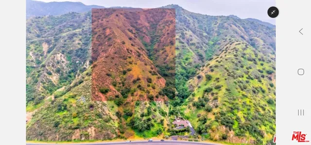 a view of a lush green field with a mountain in the background