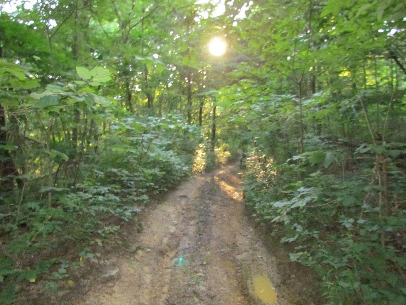 0 Buzzard Rock Road McKee, KY 40447 - Photo 5 of 15 Photo 5