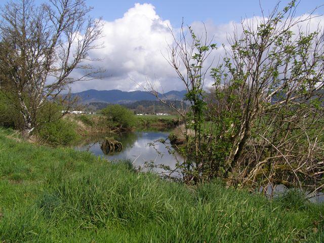 Vl Hadley Road North Tillamook, OR 97141 - Photo 17 of 18 Slough2.JPG