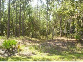 0 Southwest 88th Ln Road Dunnellon, FL 34431 - Photo 1 of 1 Primary Photo