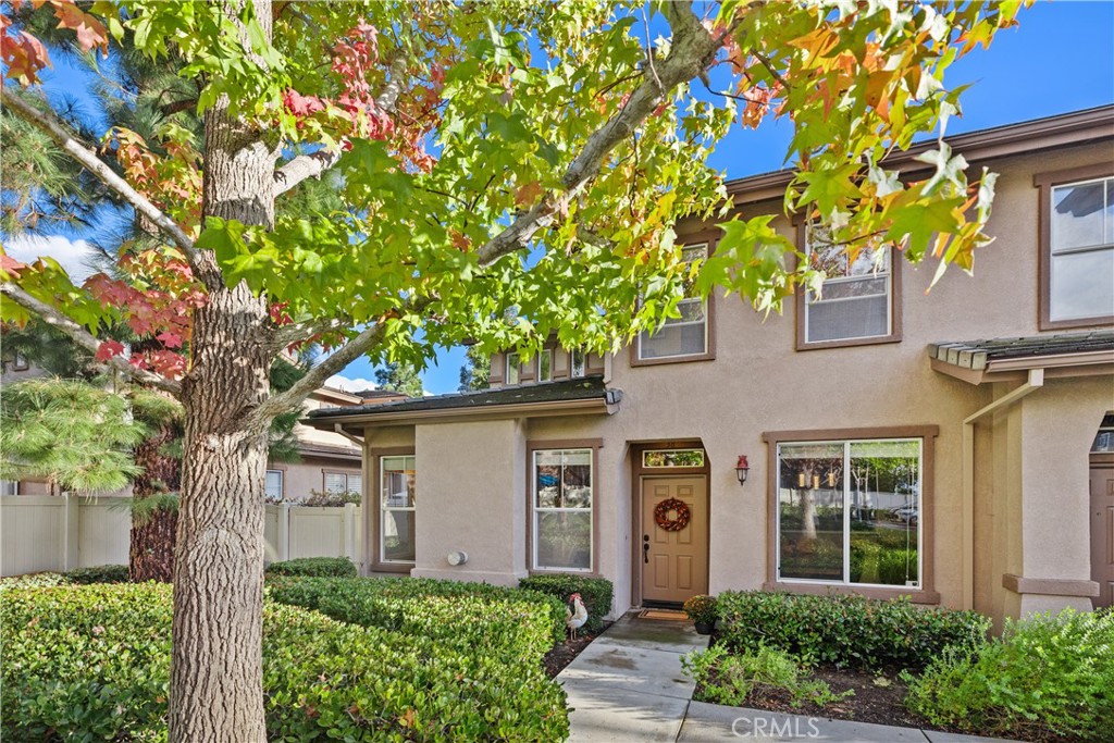 38 Red Bud Aliso Viejo, CA 92656 - Photo 2 of 28 Pleasant walk way leads up to your front door.