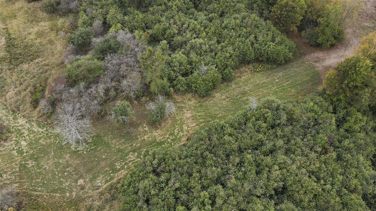 11048 Wilson Road Lake City, MI 49651 - Photo 36 of 89 Gallery Image 36