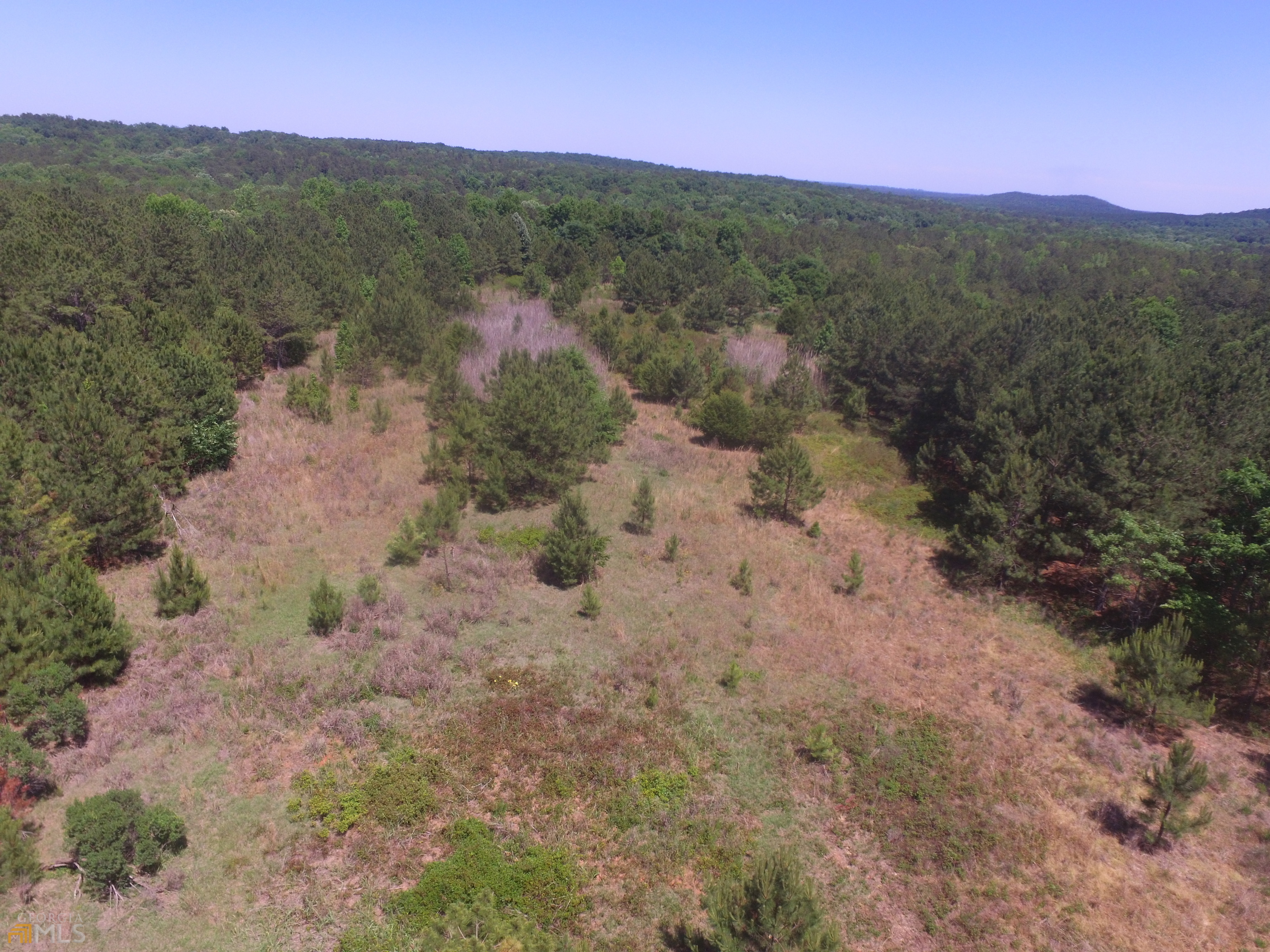 0 Skelton Road, Unit LOT 3 Thomaston, GA 30286 - Photo 1 of 1 a view of a dry field with mountains in the background
