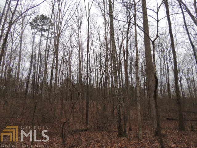 0 West Grantville Road Grantville, GA 30220 - Photo 1 of 1 Gallery Image 1