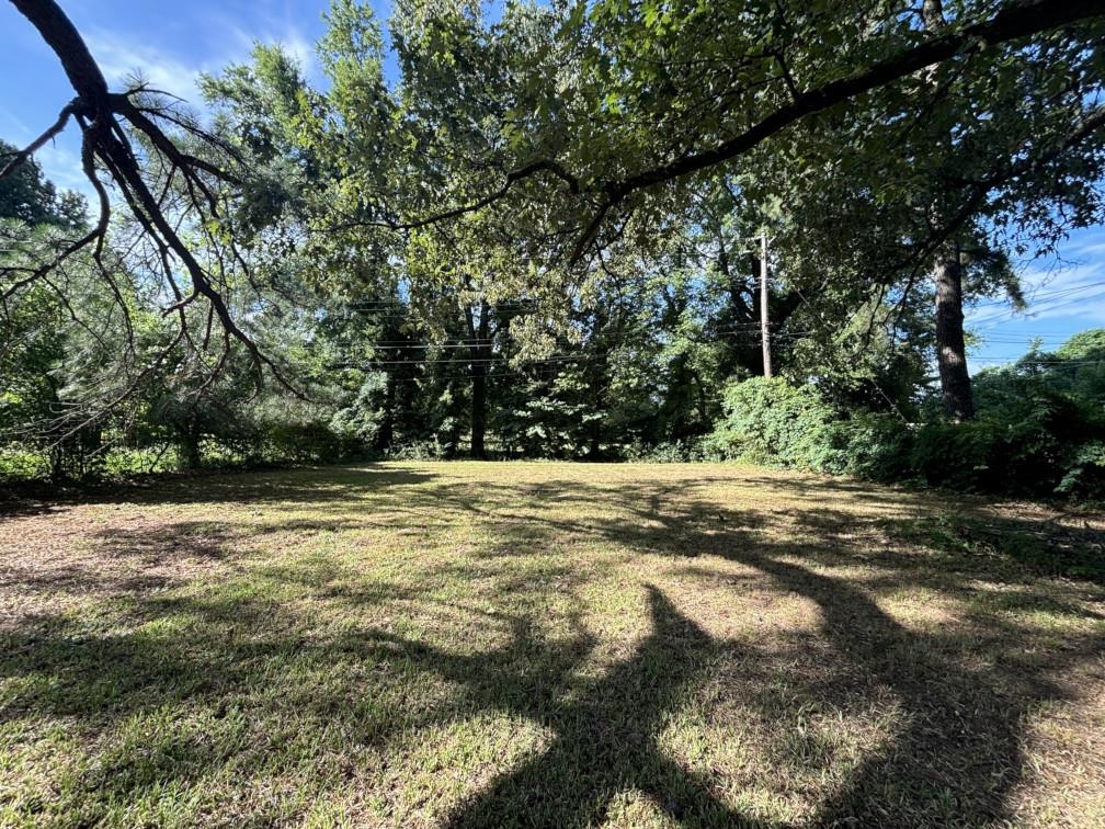 3011 Christine Road Memphis, TN 38118 - Photo 21 of 26 View of yard