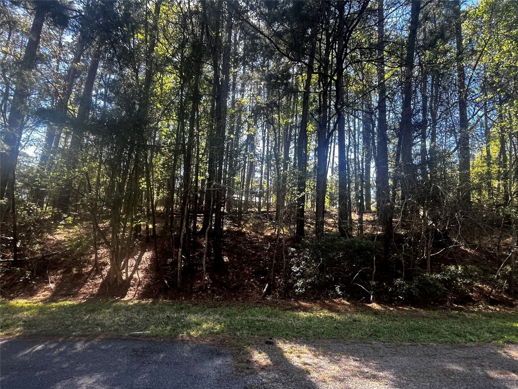 a view of outdoor space and yard