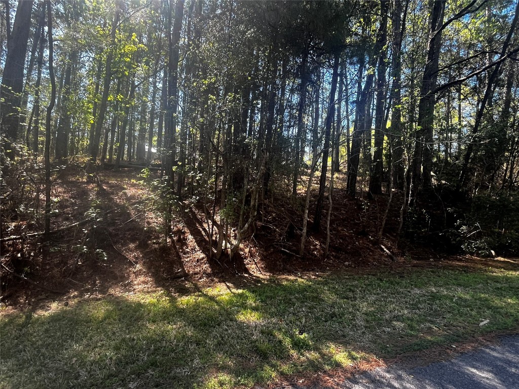 207 Green Tree Drive Coldspring, TX 77331 - Photo 3 of 20 a view of outdoor space and yard