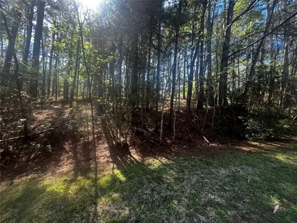 a view of a yard with large trees