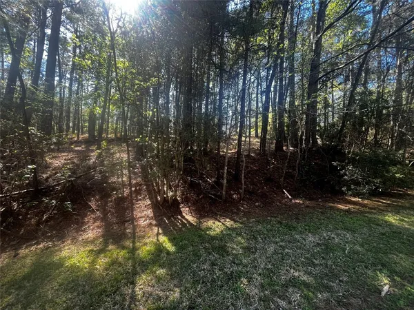 a view of a yard with large trees