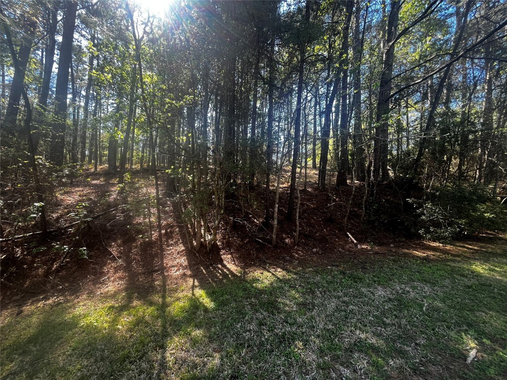 207 Green Tree Drive Coldspring, TX 77331 - Photo 6 of 20 a view of a yard with large trees