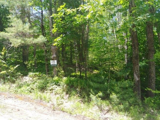 Lot 2 Calderwood Road Washington, ME 04574 - Photo 3 of 10 IMG_0743