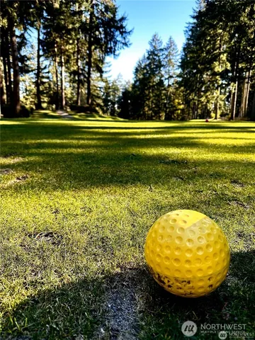 a view of a wooden house with a yard and large trees