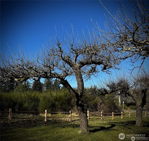 $16,900 | 11321 Lake Josephine Boulevard, Anderson Island, WA 98303