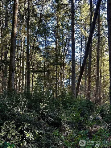 a view of outdoor space and covered with trees